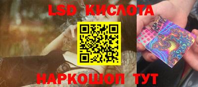спиды Камышлов