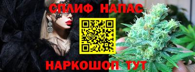 спиды Камышлов