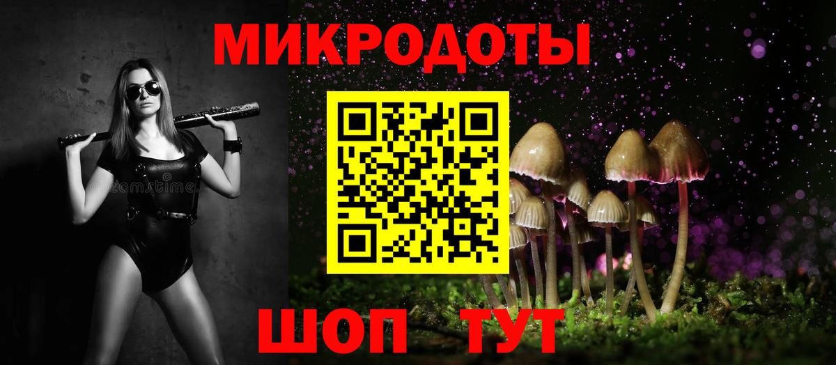 где купить наркоту  Галлюциногенные грибы Psilocybine cubensis  Канаш  Вход с VPN  Галлюциногенные грибы прущие грибы 